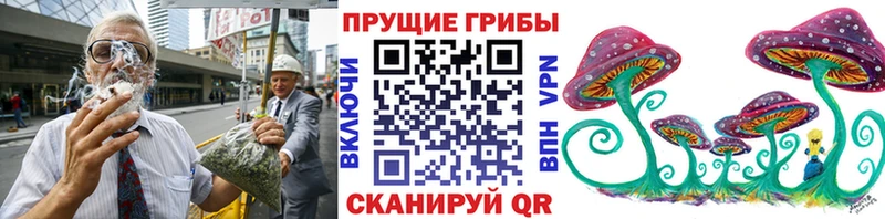 Псилоцибиновые грибы GOLDEN TEACHER  Кандалакша 